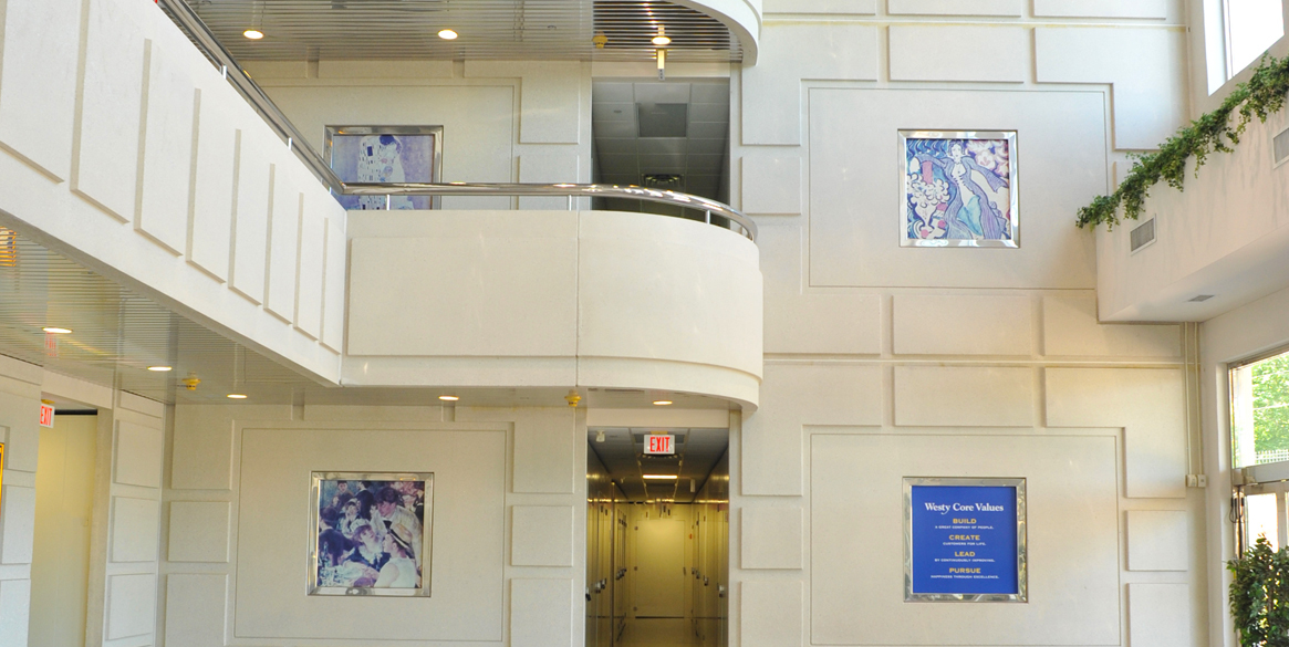 Westy Storage Stamford Ct Dandk Organizer